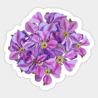 Clematis Flower Sticker